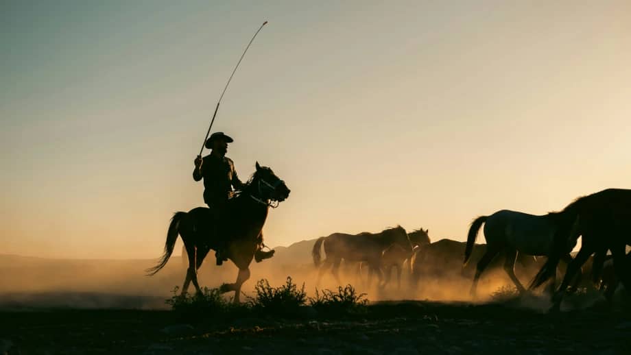 cowboy opn a horse at sunset
