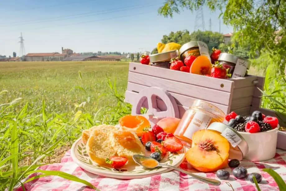 picnic on the grass in sunshine